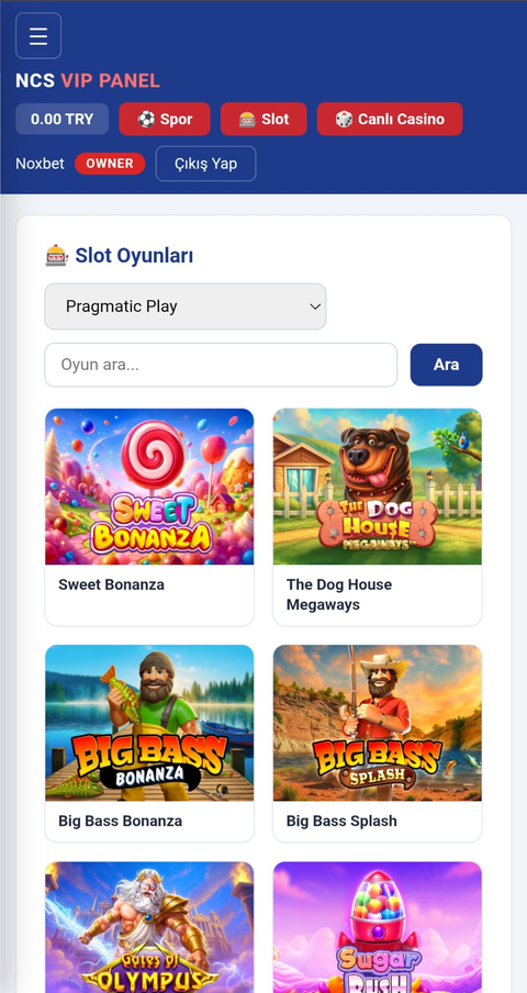 Slot oyunları ekranı