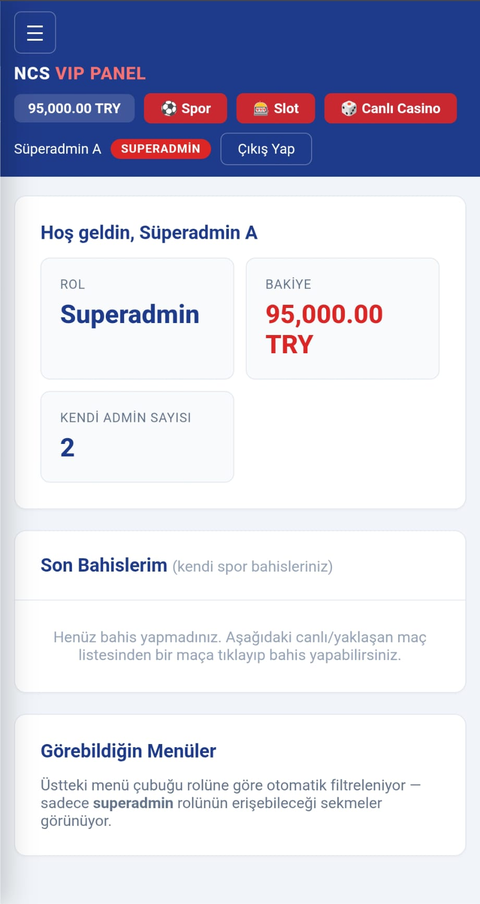 Süperadmin paneli ekran görüntüsü
